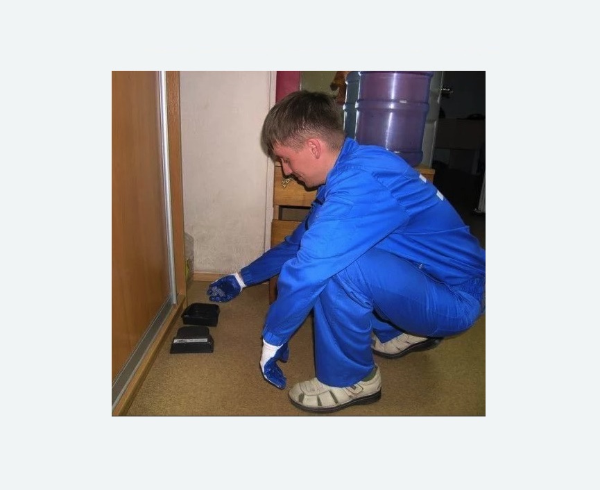 Дератизация крыс Путиловская метро Спб