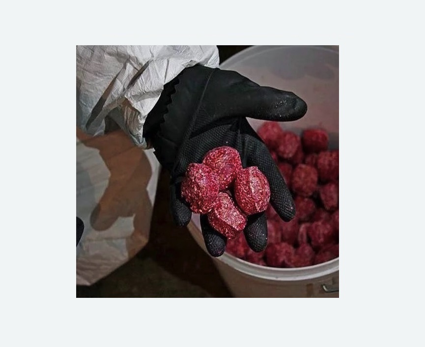 Обработка от крыс Путиловская метро Спб